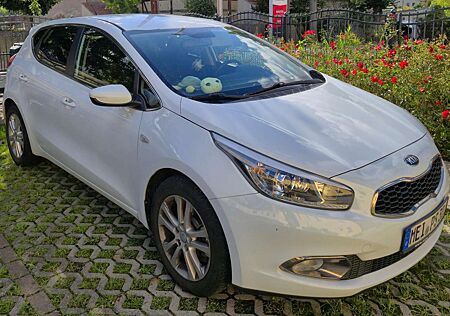 Kia Cee'd gebraucht kaufen Kia Cee'd Ceed / 1.4 CVVT Fifa World Cup Edition