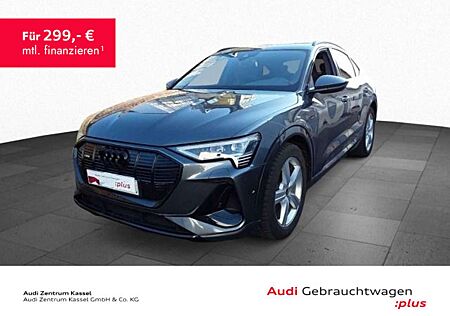 Audi e-tron 55 qu. S line Leder LED Navi Matrix St.Hz