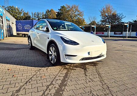 Tesla Model Y Model Y Long Range Dual Motor AWD