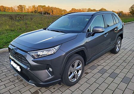 Toyota RAV 4 Hybrid 4x4 Team D + Technic Paket LED/PDC