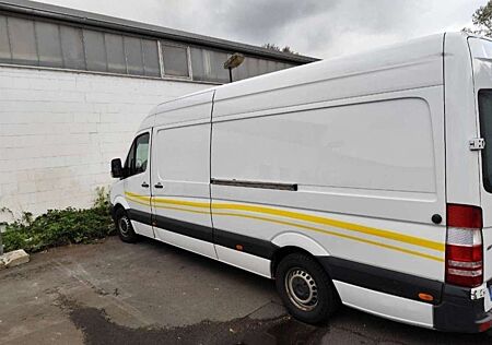 Mercedes-Benz Sprinter 313 CDI Transporter maxi Hoch