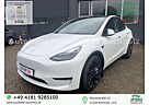 Tesla Model Y Performance Dual Motor AWD ~PERFORMANCE~