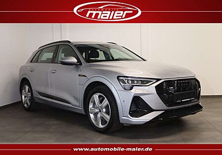 Audi e-tron 55 quattro S line-NAV-LED-KAMERA-LUFT-DAB