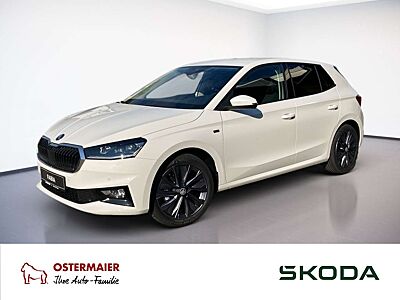 Skoda Fabia Tour 1.0 TSI 85 kW 7-Gang-DSG.LED.AHK.SHZG.SMARTLI