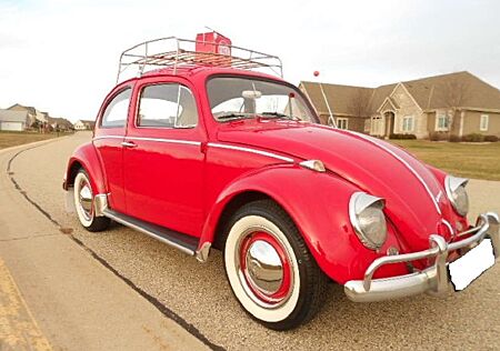 VW Käfer Volkswagen