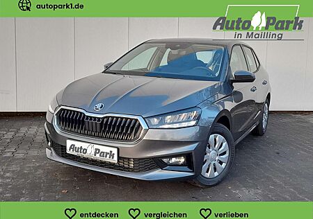 Skoda Fabia 1.0 TSI Selection NAVI/APP~LED~SHZ~PDC~GRA