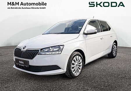 Skoda Fabia 1.0 TSI Ambition Smartlink Business Pak