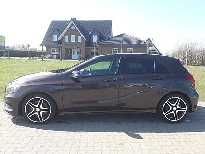 Mercedes-Benz A 220 A 220 CDI / d BlueEfficiency (176.003)