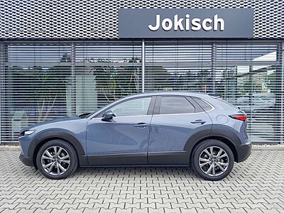 Mazda CX-30 SKY-X (186PS) M-HYBRID 6AT DESIGN & PREMIUM Matrix