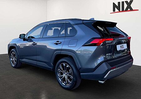 Toyota RAV 4 RAV4 2.5 Hybrid Team D 4x2 LES SHZ KAMERA KLIMA