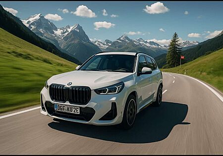 BMW iX1 xDrive30 M Pack, 360*, AHK, Ad.LED, H&K