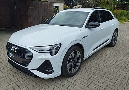 Audi e-tron 50 quattro 2x S line black ACC Alcantara