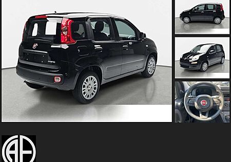 Fiat Panda 1.0 Mild Hybrid Pandina Icon (EURO 6e)