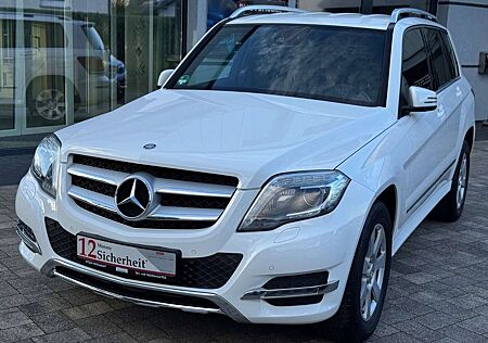 Mercedes-Benz GLK 250 CDI BlueTec 4Matic*Bi-Xenon*R-Kamera