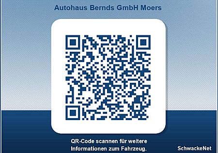 Renault Trafic Blue dCi 110 Evolution - Einparkhilfe, Allwetter