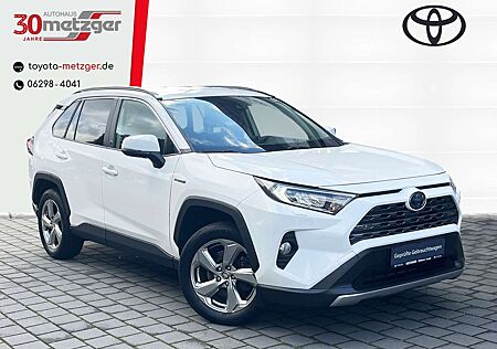 Toyota RAV 4 Hybrid 4x2 Team Deutschland +Kamera