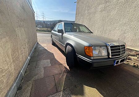 Mercedes-Benz E 260 H Kennzeichnen