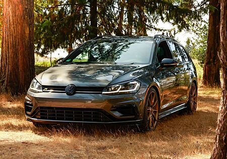 VW Golf Variant Volkswagen R 4Motion (BlueMotion Technology) DSG