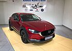 Mazda CX-30 Homura Allrad Winterräder