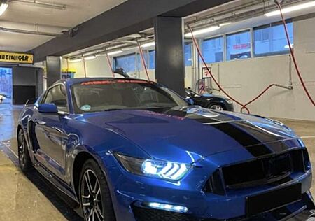 Ford Mustang 3.7 V6 Coupé SHELBY GT350 Optik,Fernstart