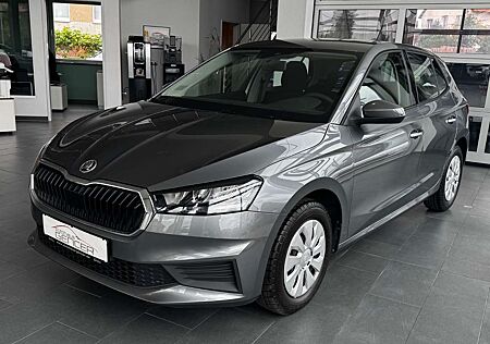 Skoda Fabia Active 1.0 MPI "LED/Klima/Sitzhzg."