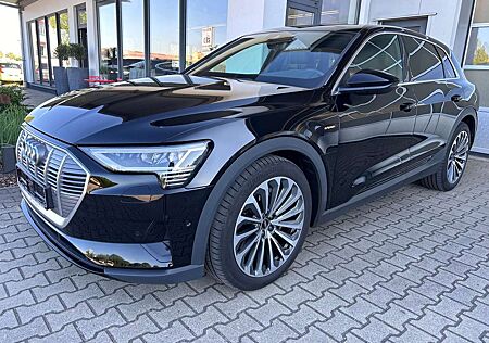 Audi e-tron 55 quattro T-Leder Sportsitz Kamera VC+