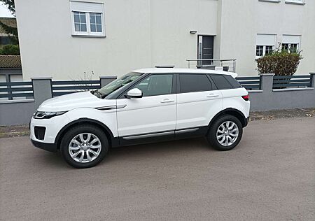 Land Rover Range Rover Evoque TD4 Pure