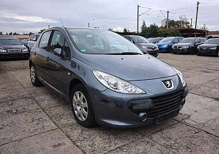 Peugeot 307 Grand Filou Cool