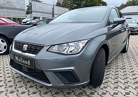 Seat Ibiza Style