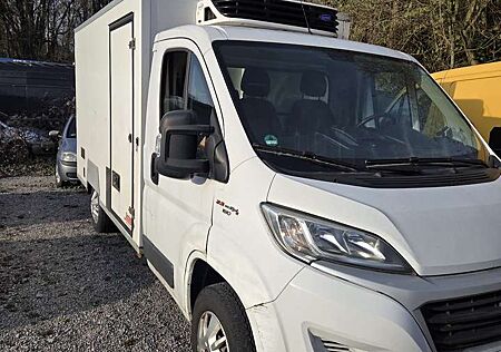 Fiat Ducato Maxi L2H2