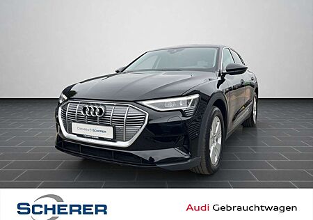 Audi e-tron 230 kW quattro NAVI SHZ LED GRA