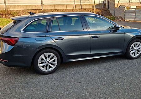 Skoda Octavia Combi First Edition Neues Mod. 2,0TDI