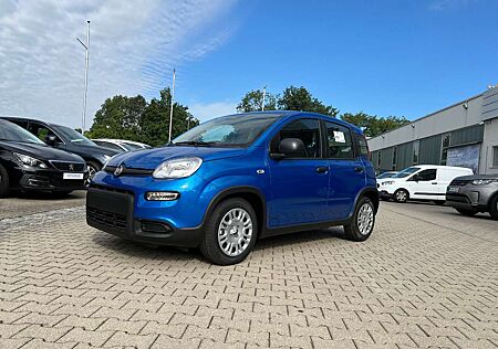Fiat Panda Neues Modell 1.0 *5 Sitzer Klima PDC DAB*