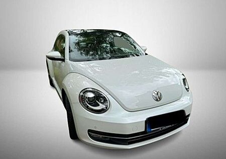 VW Beetle Volkswagen Lim. Design Leder Pano Klima PDC