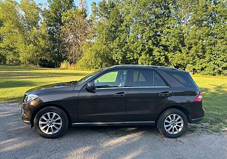 Mercedes-Benz ML 250 CDI BlueTec (166.004)
