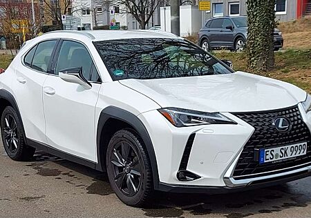 Lexus IS 200 UX 200 Luxury Line