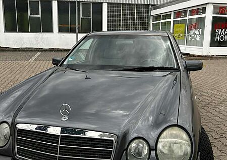 Mercedes-Benz E 240 Classic
