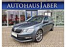 Skoda Octavia Drive DSG PANO RFK SPURASS 8x ALU LED