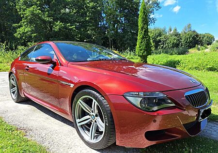 BMW M6