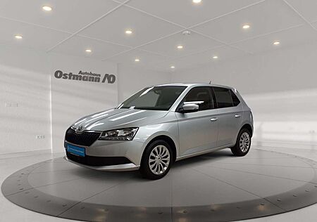 Skoda Fabia 1.0 TSI Ambition PDC*Smart-Link*Sitzh*Navi*