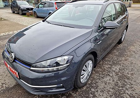 VW Golf Volkswagen Variant 1,5 TGI "Comfortline" AHK ACC Kamera Sitzh