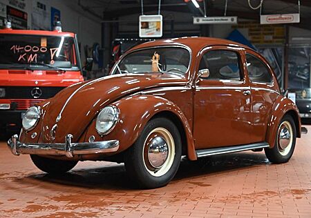 VW Käfer Volkswagen "Brezel" *WINKER*RHEUMAKLAPPE*GASROLLE*