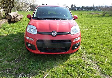 Fiat New Panda 1.2 8V LOUNGE Zahnriemen ern.3.25