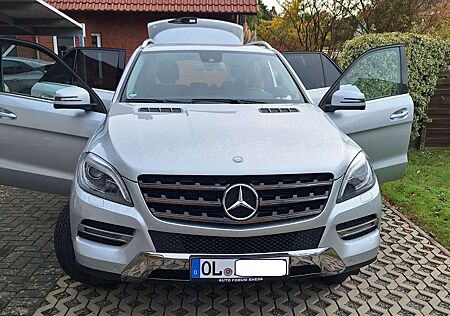 Mercedes-Benz ML 250 BlueTEC 4MATIC 7G-TRONIC