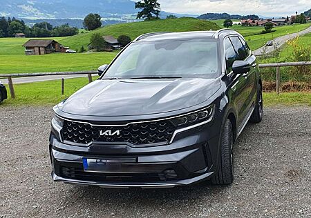 Kia Sorento 1.6 T-GDI PHEV AWD Aut. Platinum