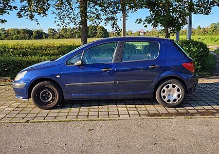 Peugeot 307 Break 90 Grand Filou Cool