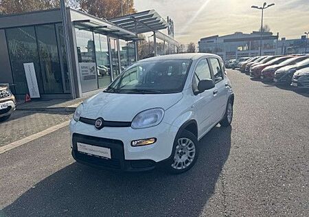 Fiat Panda Base, Mild Hybrid, Klima, DAB+