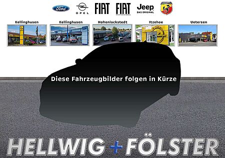 Ford Tourneo Custom TITANIUM 320 L2 NAVI / AHK / STD-HZG / TECHNO-6
