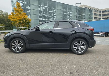 Mazda CX-30 gebraucht kaufen Mazda CX-30 Selection 2WD