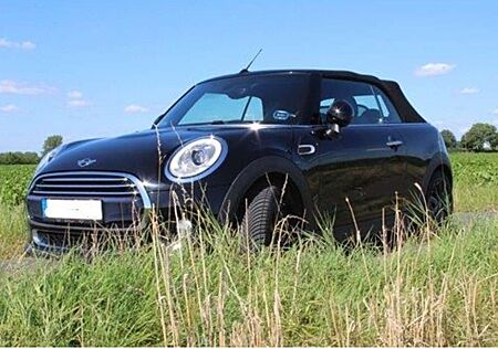 Mini Cooper Cabrio Highgate